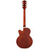 G6659TFM Players Broadkaster Bourbon Stain + Etui Gretsch Guitars