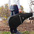 Housse guitare folk/classique 4/4 standard Shiver