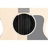 GA-FDBKSPR1 Acoustic Soundhole Cover Gibson