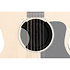 GA-FDBKSPR2 Acoustic Soundhole Cover Pickup Control Access Gibson