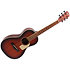 Guitare Folk GFS-Parlor Dark Brown Shiver