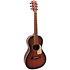 Guitare Folk GFS-Parlor Dark Brown Shiver