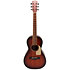 Guitare Folk GFS-Parlor Dark Brown Shiver