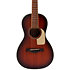 Guitare Folk GFS-Parlor Dark Brown Shiver