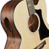 G-200 EC + Acoustic Player Port Cover + Cordes Gibson