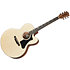 G-200 EC + Acoustic Player Port Cover + Cordes Gibson