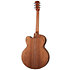 G-200 EC + Acoustic Player Port Cover + Cordes Gibson