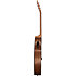 G-200 EC + Acoustic Player Port Cover + Cordes Gibson