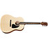 G-45 + Acoustic Player Port Cover + Cordes Gibson