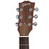 G-Bird + Acoustic Player Port Cover + Cordes Gibson