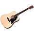 G-Bird + Acoustic Player Port Cover + Cordes Gibson