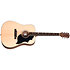 G-Bird + Acoustic Player Port Cover + Cordes Gibson