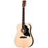 G-Bird + Acoustic Player Port Cover + Cordes Gibson
