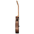 G-Bird + Acoustic Player Port Cover + Cordes Gibson