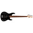 AP 204 Black Satin LTD