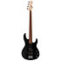 AP 204 Black Satin LTD