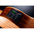 Tiki Bass Fretless Pan-Coupé Électro LAG