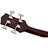 Streamliner Jet Club Bass Single-Cut Havana Burst Gretsch Guitars