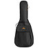 AGB30F Guitare Folk Tobago