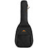 AGB30C Guitare Classique Tobago