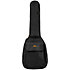 AGB30BA Basse Acoustic Tobago