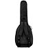 AGB30BA Basse Acoustic Tobago