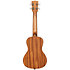 Maori Unity Mahogany Concert + Housse Kala