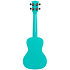 Waterman Concert Aqua Mist Glow in the Dark Kala