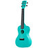 Waterman Concert Aqua Mist Glow in the Dark Kala
