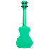 Concert Waterman Sea Foam Green Kala