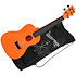 Waterman Concert Sunset Orange Kala