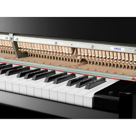 N3X AvantGrand Yamaha