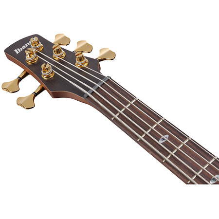 SR6605-GFB Prestige Ghost Fleet Blue Burst + Etui Ibanez