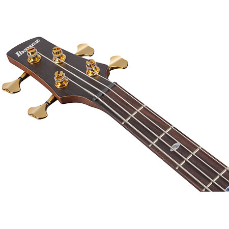 SR5500-MHF Prestige Mocha Flat + Etui Ibanez