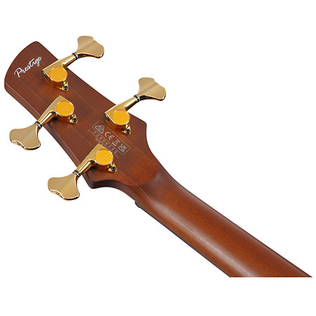 SR5500-MHF Prestige Mocha Flat + Etui Ibanez