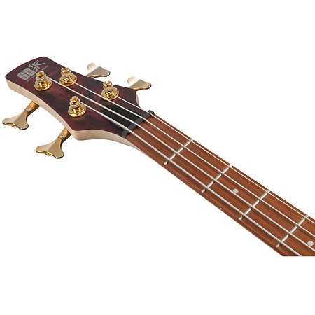 SR300EDX-WZM Standard Wine Red Frozen Matte Ibanez