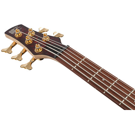 SR305EDX-WZM Standard Wine Red Frozen Matte Ibanez
