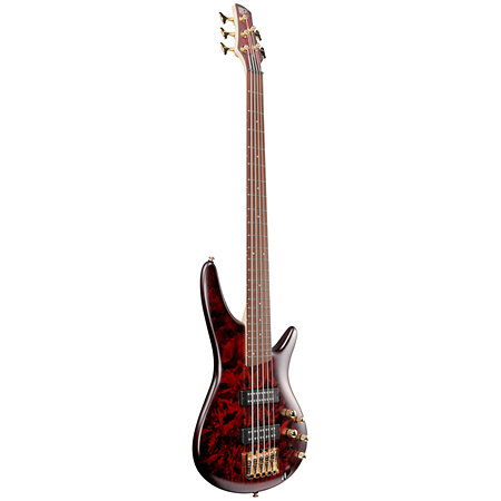 SR305EDX-WZM Standard Wine Red Frozen Matte Ibanez