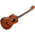 Learn To Play Ukulélé Baryton Starter Kit Kala