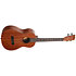 Learn To Play Ukulélé Baryton Starter Kit Kala