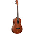 Learn To Play Ukulélé Baryton Starter Kit Kala