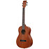 Learn To Play Ukulélé Baryton Starter Kit Kala