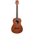 Learn To Play Ukulélé Baryton Starter Kit Kala