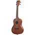 Learn To Play Ukulélé Concert Starter Kit Kala