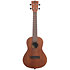 Learn To Play Ukulélé Concert Starter Kit Kala