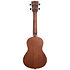 Learn To Play Ukulélé Concert Starter Kit Kala