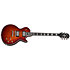 Les Paul Prophecy Aged Bengal Tiger Burst + Housse Epiphone