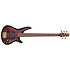 SR305EDX-WZM Standard Wine Red Frozen Matte Ibanez