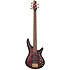 SR305EDX-WZM Standard Wine Red Frozen Matte Ibanez