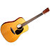 DE Retro Plus Dreadnought + housse Martin Guitars